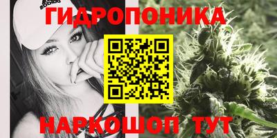 стафф Партизанск